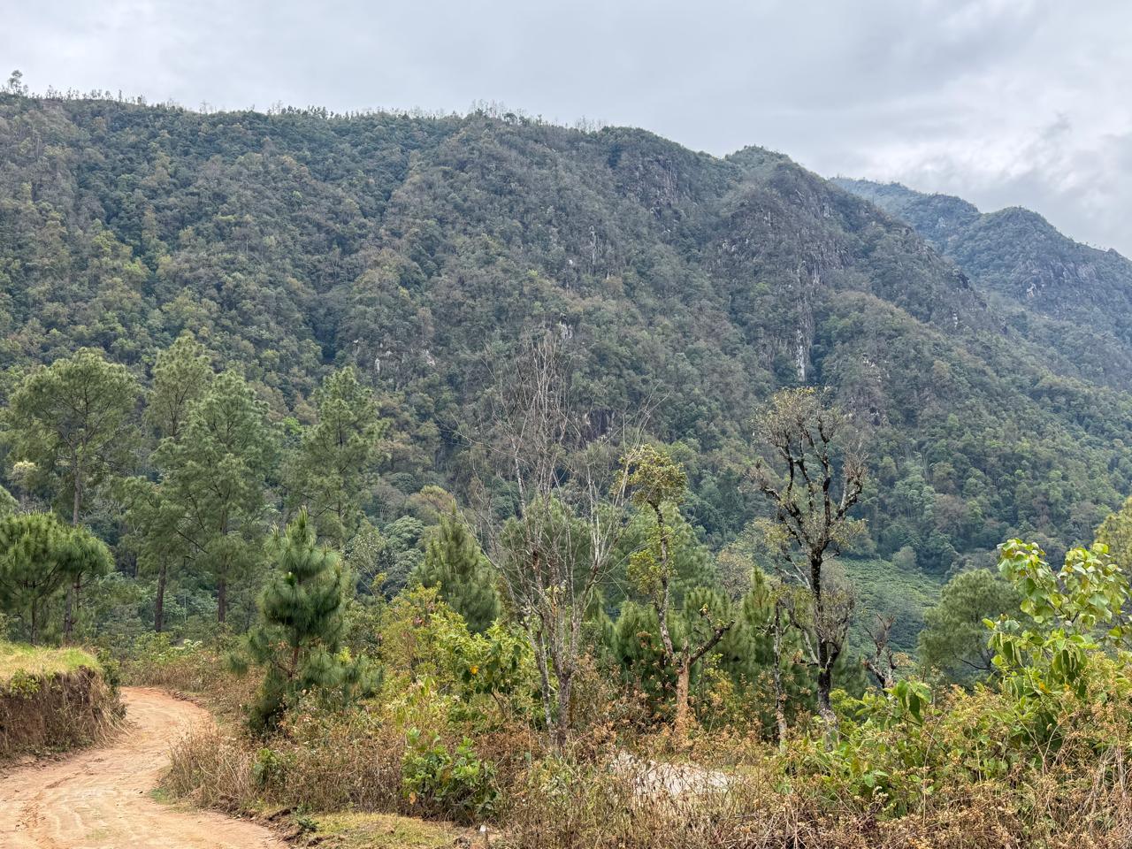 Approach road and mountain view near the Bhojpur granite reference site