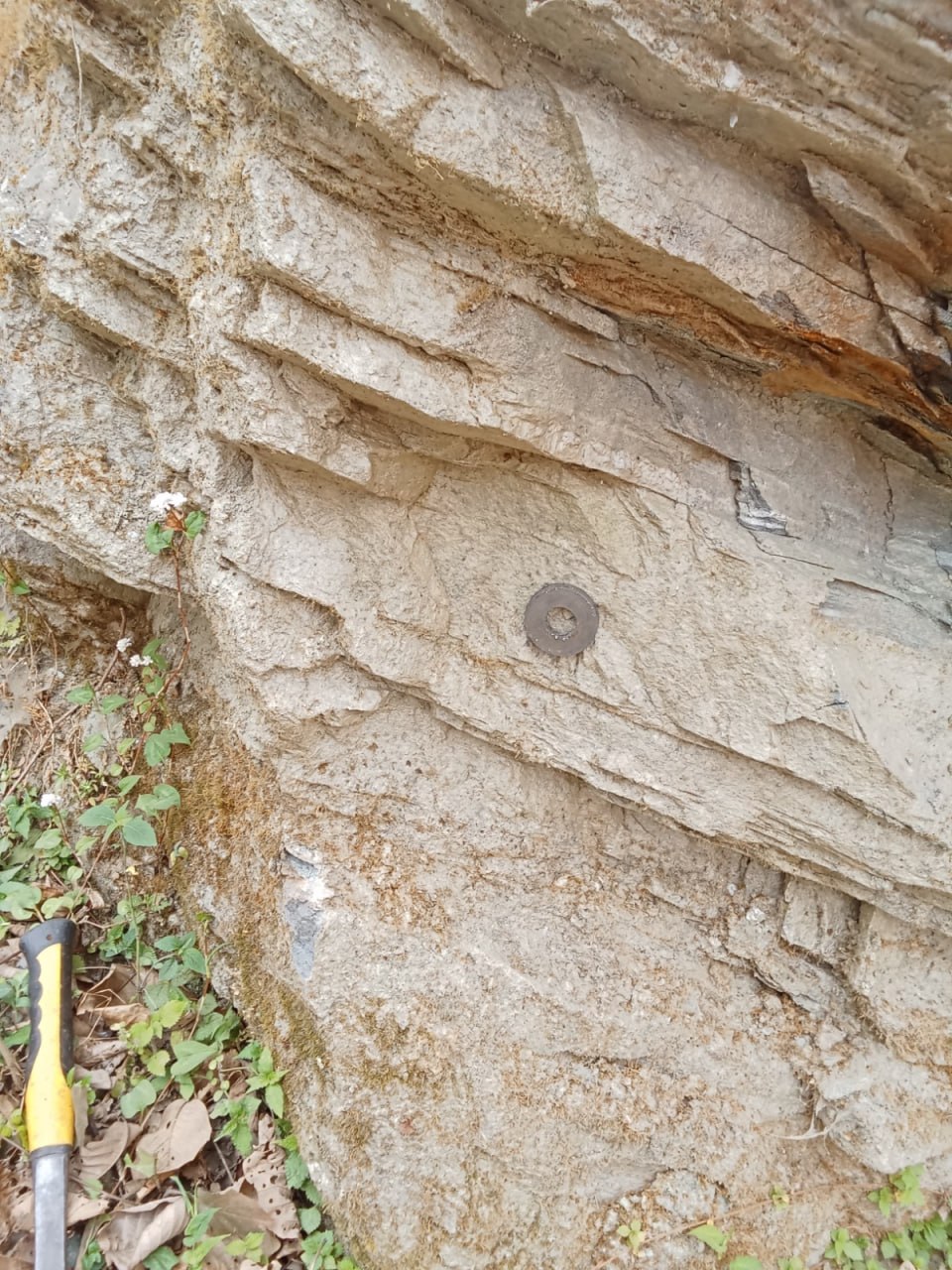 Layered rock outcrop from the Barekot iron prospecting area in Jajarkot
