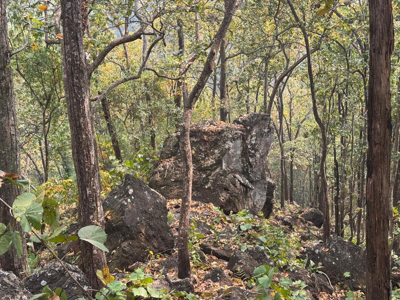 Large boulder exposure from the Bagmati, Makwanpur iron prospecting site