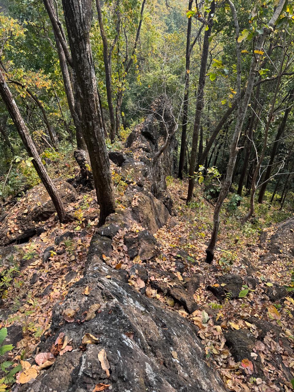 Ridge-top prospecting view from the Bagmati, Makwanpur iron reference site